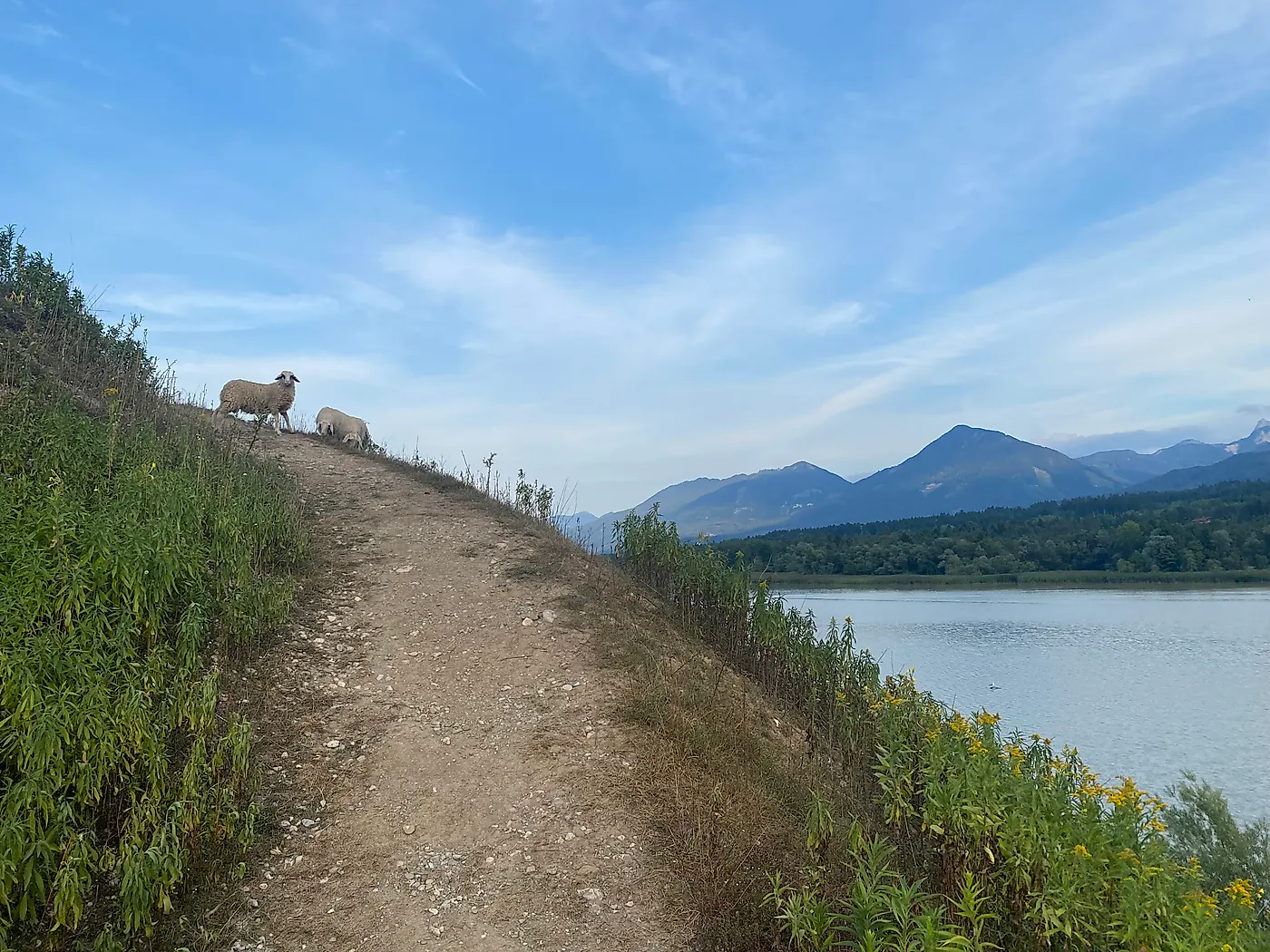(c) M. Altersberger-Kenney – Bio Austria & Woerthersee-Rosental