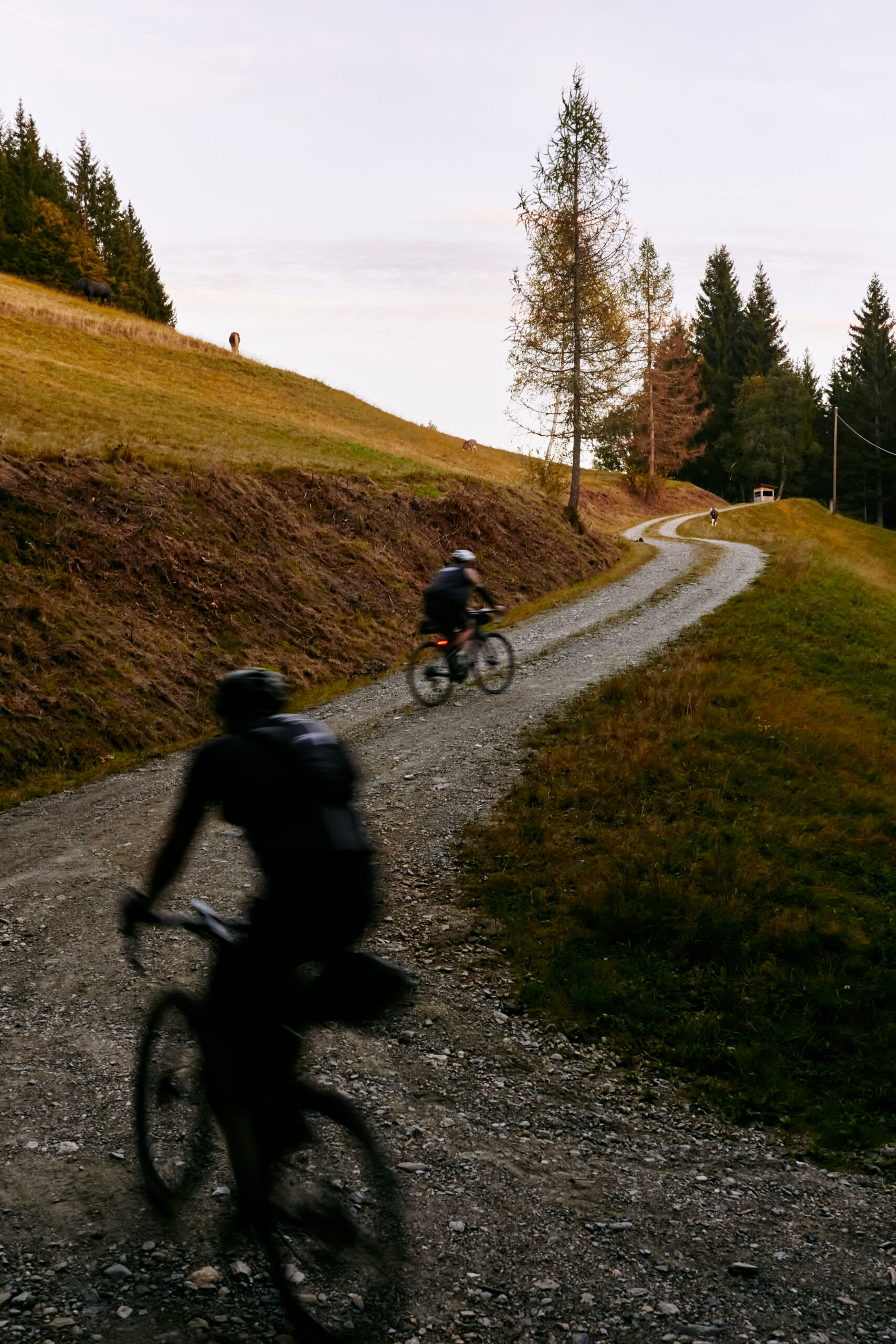 ©forstus Philipp Schönauer 230929_GRIIIx-0268